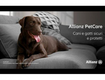 Allianz foto web 5