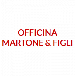 Martone Fabrizio e Figli logo