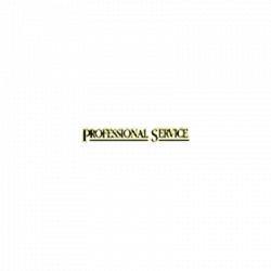 Professional Service Srl logo