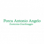 Porcu Antonio Angelo