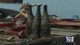 Gusto Di Vino: un tesoro in fondo al lago