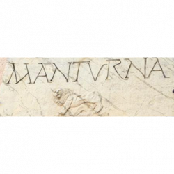 Ristorante Trattoria Manturna logo