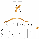 Autofficina Kondi Service