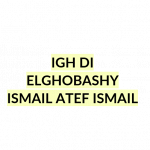 Igh di Elghobashy Ismail Atef Ismail