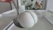 Meglio la mozzarella pugliese di quella campana, la disfida si riapre