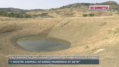 Caltanissetta, dal laghetto ridotto a una pozza di fango