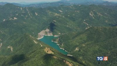 Proteggere il verde, salvare il Pianeta