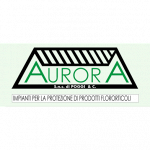 Aurora Serre