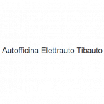 Autofficina Elettrauto Tibauto