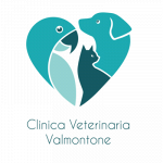 Clinica Veterinaria Valmontone
