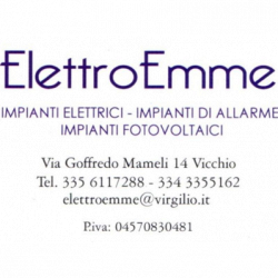 Elettroemme logo