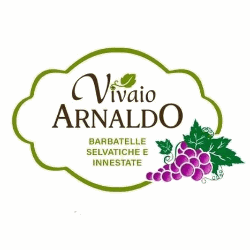 Vivai Arnaldo logo