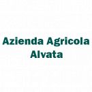 Azienda Agricola Alvata