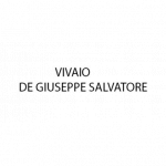Vivaio - De Giuseppe Salvatore