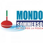 Mondo Sommerso Mimmo D'Alise