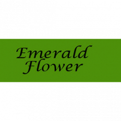 Emerald Flower - Fioreria logo