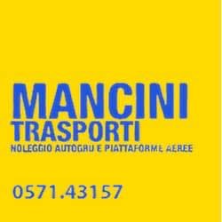Mancini Trasporti Sollevamenti e Autogru' logo