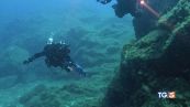 Maldive, la verità nelle telecamere?