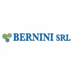 Bernini Officina Meccanica logo