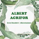 Albert Agrifor