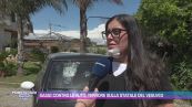 Sassi contro le auto, la vittima: "Sono viva per miracolo"