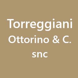 Torreggiani Ottorino & C. snc logo