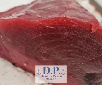 Bluefin o Tonno rosso