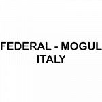 Federal - Mogul Italy