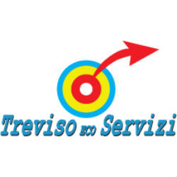 Treviso Ecoservizi logo