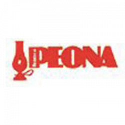 Peona Elettrodomestici logo