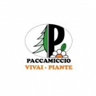 Paccamiccio Vivai e Piante