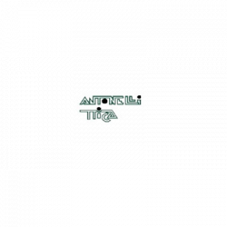 Antonelli Ottica logo