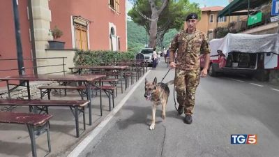 Eroi a quattro zampe, campioni di solidarietà