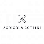 Agricola Cottini