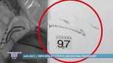 Garlasco, l'impronta 97 F è stata lasciata dall'assassino?