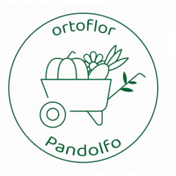 Azienda Agricola Ortoflor Pandolfo logo