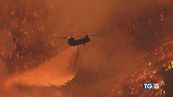 Rabbia e disperazione Los Angeles in cenere