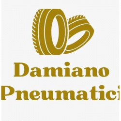 Damiano Pneumatici logo