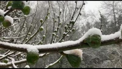 Francia, prima neve a Parigi, fiocca a Montmartre