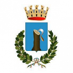 Comune di Roncade logo