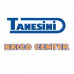 M.E.F. Tanesini - Brico Center