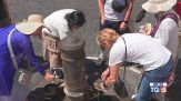 Sarà un ferragosto con il gran caldo