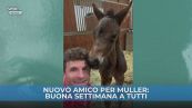 Nuovo cucciolo per Muller