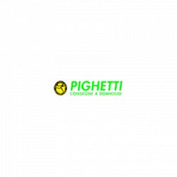 Fiori e Piante Pighetti Daniela logo