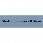 Enavolt-Studio Consulenza Il Giglio