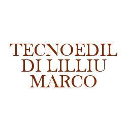 Tecnoedil di Lilliu Marco logo
