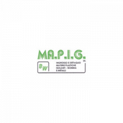 Mapig logo