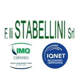 F.lli Stabellini S.r.l logo