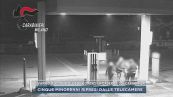 Vaprio d'Adda, molotov contro la caserma dei carabinieri