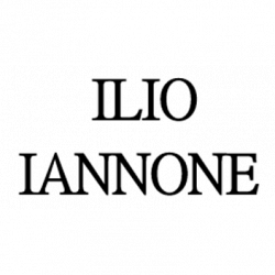 Ilio Iannone logo